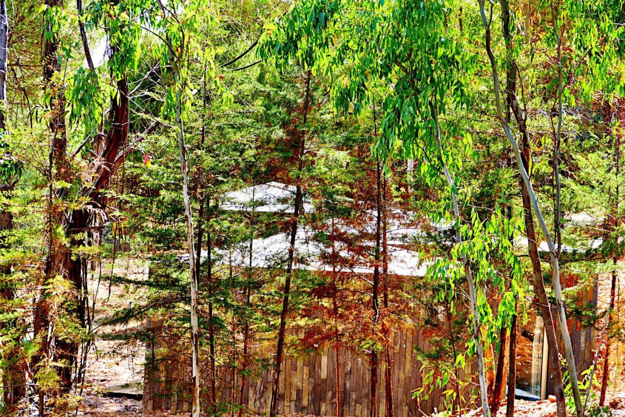 Herdade Clube Tiro Monfortinho Esterno foto