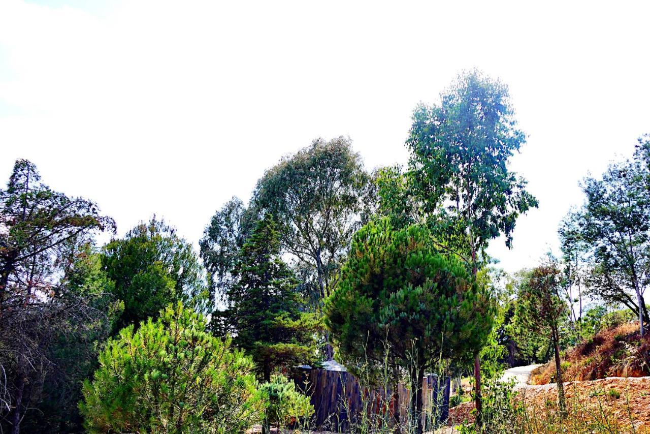 Herdade Clube Tiro Monfortinho Esterno foto