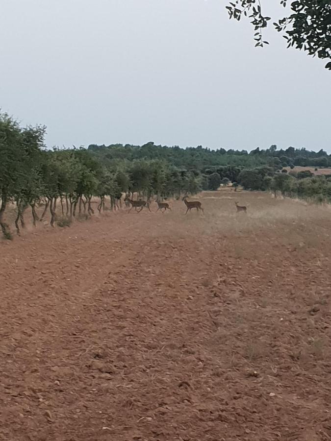 Herdade Clube Tiro Monfortinho Esterno foto