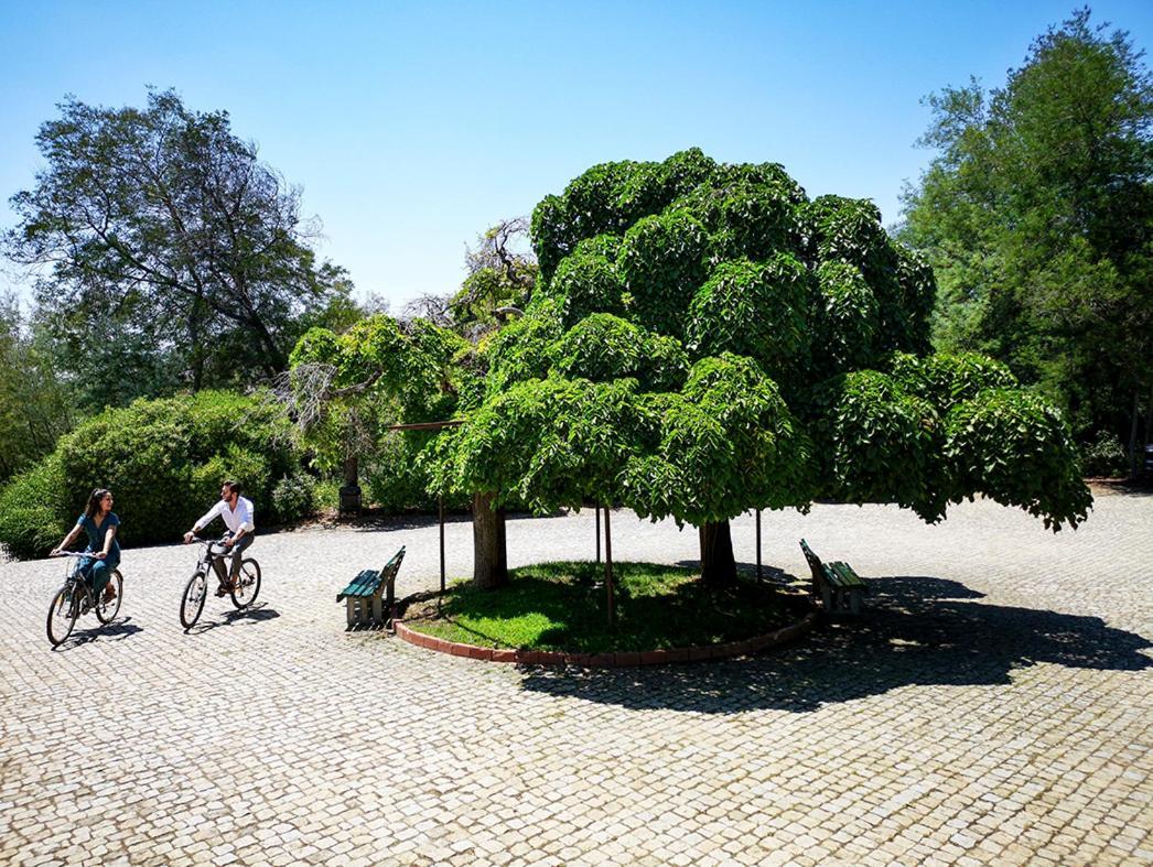 Herdade Clube Tiro Monfortinho Esterno foto